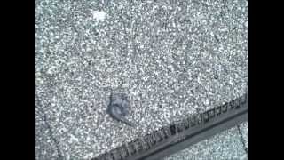 How to Install a PermaBoot Easy Roof Vent Repair [upl. by Kare156]