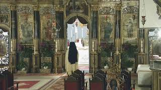 Episcopia GrecoCatolică de Oradea Live Stream [upl. by Nosnah]