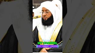 Surah AlMulk 5th Part🕋🕌🥰💫 beautiful quran shorts islam makkah foryou fyp trending video [upl. by Nodnarb]