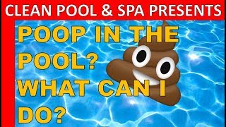 Poop In The Pool  Holy Crap What Can I Do [upl. by Amlet997]