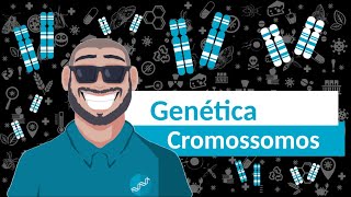 Genética  Cromossomos Homólogos [upl. by Esdnyl]