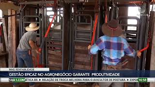 Gestão eficaz no agronegócio garante produtividade na fazenda [upl. by Tannen]