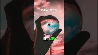 Capitulo de Isaias 11 RV60 narrado biblia​​ supernatural​​ dios​​ jesus​​ profeta​​ isaias​​ [upl. by Westerfield]