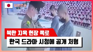 일본반응 북한 지옥 현장 폭로 한국 드라마 시청에 공개처형 [upl. by Buckie698]