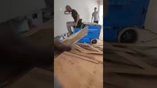 ASMR Hardwood flooring removal 🤯 asmr satisfying asmrsounds hurricane florida video shorts [upl. by Irisa]