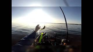 Oneida Lake Kayak Perch Fishing 101824 fishing Perch kayakfishing [upl. by Hyacinthe]