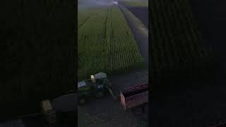 Corn Silage Chopping Techniques Enhanced [upl. by Sheela]