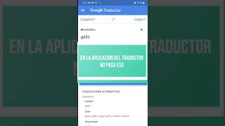 Gallo en el traductor de google 🐓🐓🐓🐓🐓 [upl. by Ginelle921]