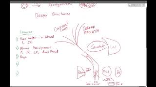 3 Lacunar Strokes [upl. by Korry]