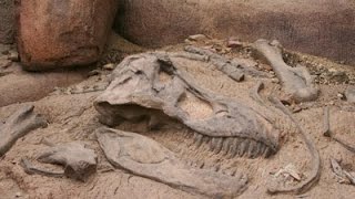 Unearthing Dinosaur Remains  Documentary on Finding Dinosaur Fossils Full Documentary [upl. by Rehprotsirhc100]