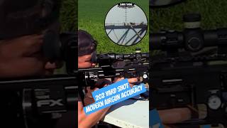 Modern Airgun Accuracy  202 YARD Shot  Best PCP Airguns in the world  FX Airguns [upl. by Aisaim]