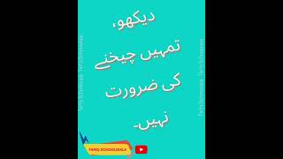 64 SHOUT VERB words meaning sentence Urdu translation spoken English [upl. by Carmina]