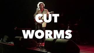 CUT WORMS live in Amsterdam August 2018 HD [upl. by Ecadnak]