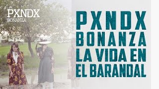 La Vida En El Barandal  PANDA  Bonanza  Con Letra [upl. by Ahsilrae]