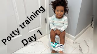 HOW TO POTTY TRAIN A TODDLER  DAY 1 vlog [upl. by Lelia]