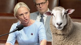 Victoria Spartz DESTROYS Democrat Sheep [upl. by Iot198]