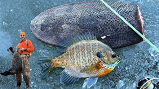 Trapping a Beaver amp using its Tail for Ice Fishing Bait [upl. by Osi863]