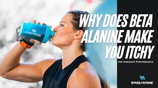 Why Does Beta Alanine Make You Itchy [upl. by Medea790]