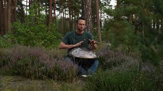 handpan meditation music in a Forrest handpan handpanplayer percussion handpanyogamusic [upl. by Annal]