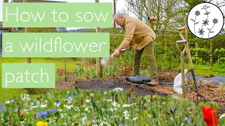 Sowing wildflowers an easy to follow how to guide to sowing a small wildflower patch [upl. by Yditsahc]