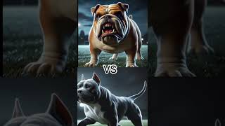 DOG FIGHT PITBUL VS BULLDOG VS AMERICAN TERRIER VS BRAZILLIAN DOG WHO WILL WIN [upl. by Randene]