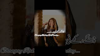 Changay Rakhay Ni Parday ❤️ Sharafat Ali Khan Saraiki Song 🥰 saraikisongshd saraiki saraikimusic [upl. by Nohsyt688]