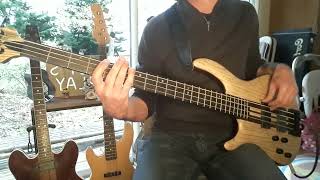 RagnBone Man quotHumanquot Bass cover [upl. by Kahlil]