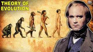 What Happened After Theory of Evolution Was Published [upl. by Kcirredal]