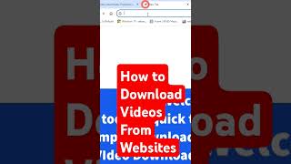 How to Download Videos from a website with Video Downloader Professional extension [upl. by Aivax]