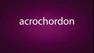 How to pronounce acrochordon [upl. by Iorio]