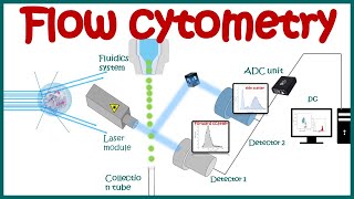 Flow cytometry  basic principles  What the use of flow cytometry   Cell sorting by FACS [upl. by Aleina917]