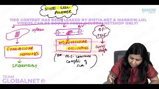 HAEMOLYTIC ANEMIA  PART 2 By Dr Illa jain khandelwal Pathology by Marrow Video Lacture [upl. by Usanis]