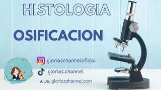 Histología para Medicina Osificación endocondral [upl. by Shara]