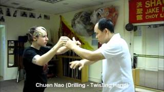 Choy Lee Fut  Basic Hand Techniques [upl. by Henriques125]