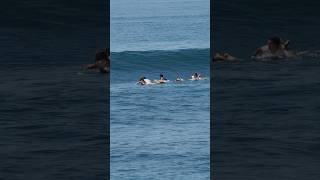 Keramas Beach Surfing Today 6 November 2024 surfing balisurf [upl. by Einomrah414]