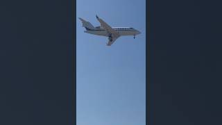 Bombardier Challenger 650 Arriving At LAX From San Jose CA 8124 laxplanespotting innout lax [upl. by Aznaed]