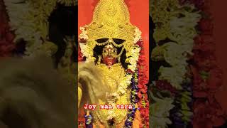 🙏🙏joy  maa  tara 🙏🙏 [upl. by Diskson775]