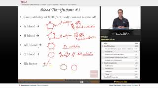 quotBloodquot  Anatomy amp Physiology with Educatorcom [upl. by Albie279]