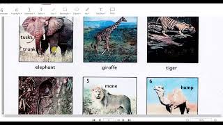 Describing animals وصف الحيوانات [upl. by Aridatha]