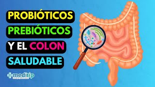 Revive tu Intestino y Recupera tu Vida con Probióticos y Prebióticos [upl. by Ayaladnot]