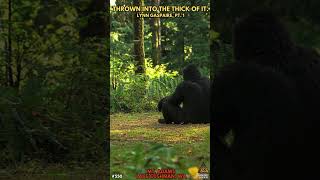 👀 Ever wondered what its like to come facetoface with Bigfoot Join Lynn Gaspare on Bigfoot [upl. by Neeleuqcaj885]