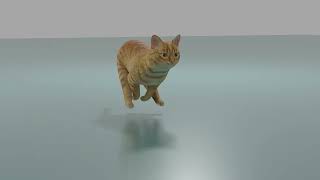 cat animation blend [upl. by Jonny]