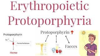 Erythropoietic Protoporphyria  Enzyme deficiency and Features [upl. by Essiralc138]