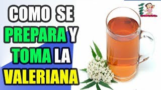 Cómo Se Prepara Y Cómo Se Toma La Valeriana Como Planta Medicinal [upl. by Assila429]