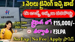 Hexaware Recruitment 2024  Latest Jobs In Telugu  Jobs In Hyderabad Work From Home Jobs 2024 [upl. by Anaya]