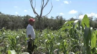 Razón Para Creer Un Documental sobre los Aluxes [upl. by Llen]