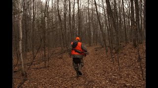 5 Days Hunting  Ontario Whitetail Deer [upl. by Trici]