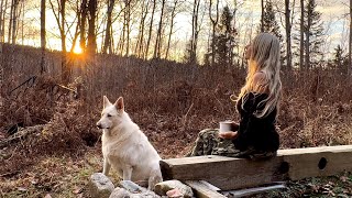 Building A Genny Shed… Cabin Life [upl. by Kappel824]