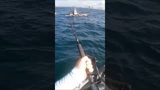 3 Miles Offshore on Kayak When I Caught THIS Giant Fish [upl. by Rossie]