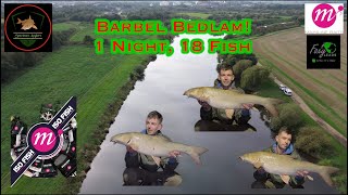 Barbel Fishing River Trent Barbel Bedlam [upl. by Starling]